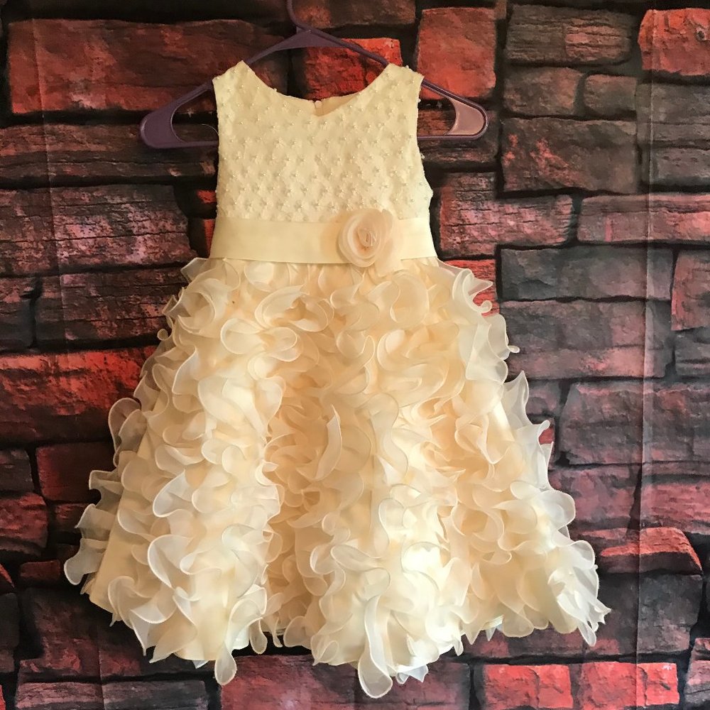 David's Bridal Flower Girl Dress